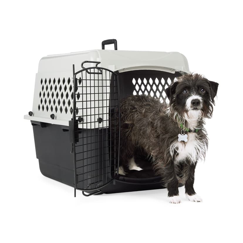 Petco Classic Dog/Pet Kennel, Lockable, 28-in