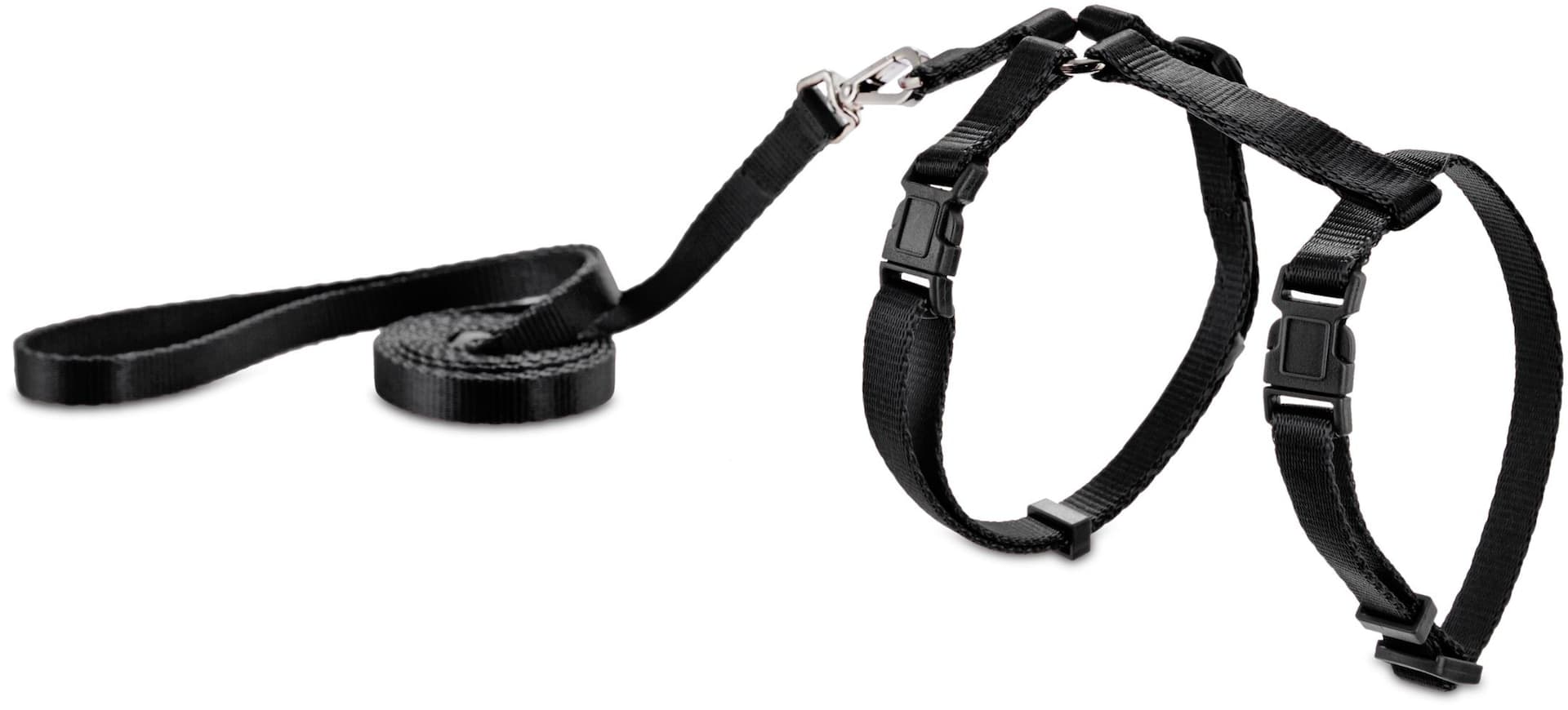 Petco Black Kitten Adjustable Harness and Leash Set, 4-ft