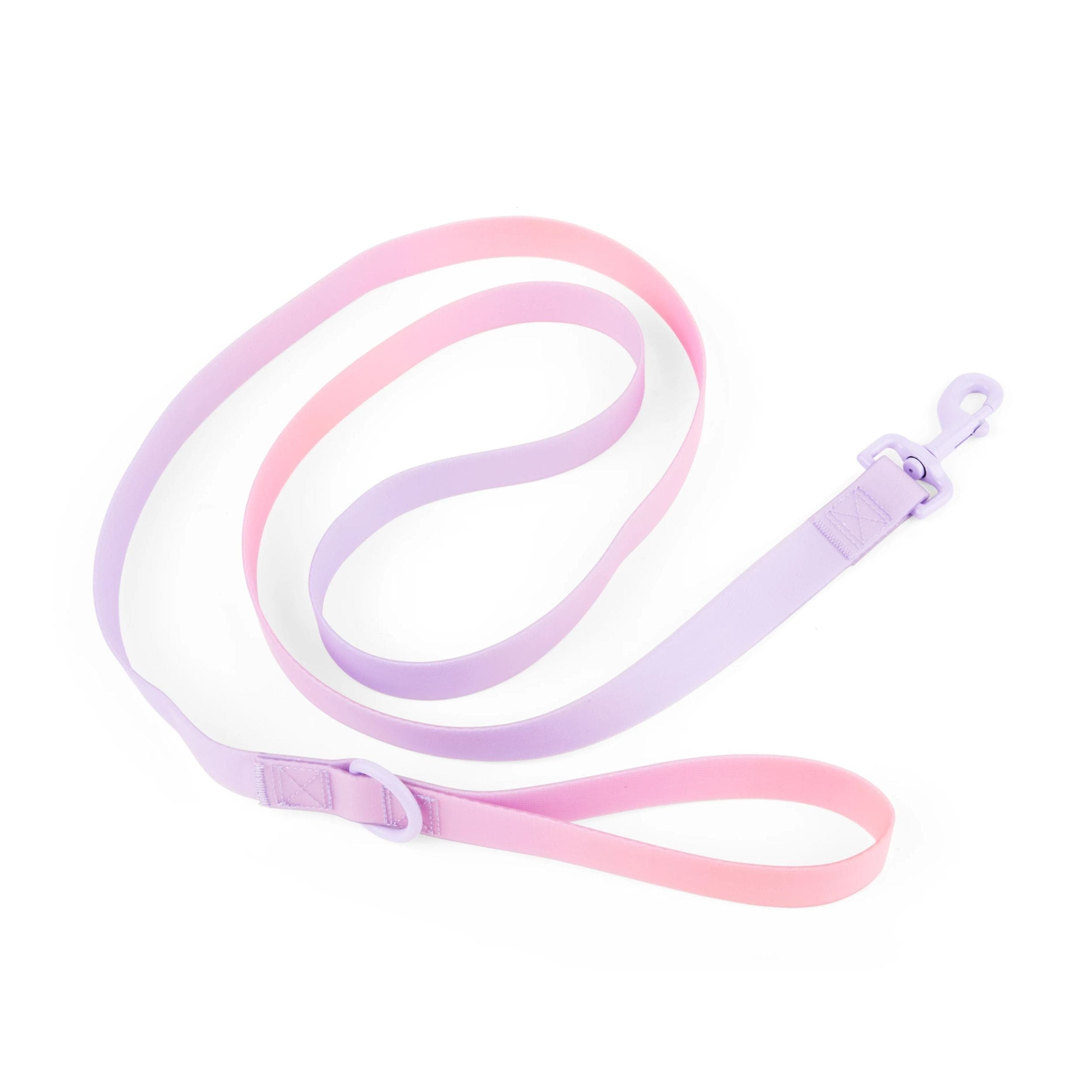 Petco Purple Wipeable Dog Leash, 6-ft