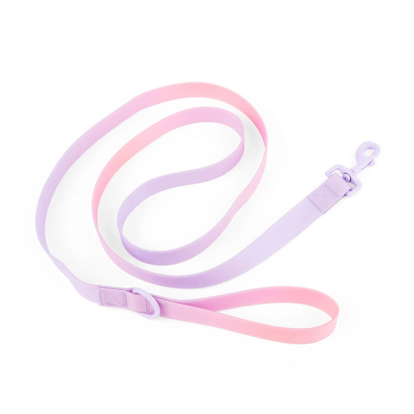 Petco Purple Wipeable Dog Leash, 6-ft