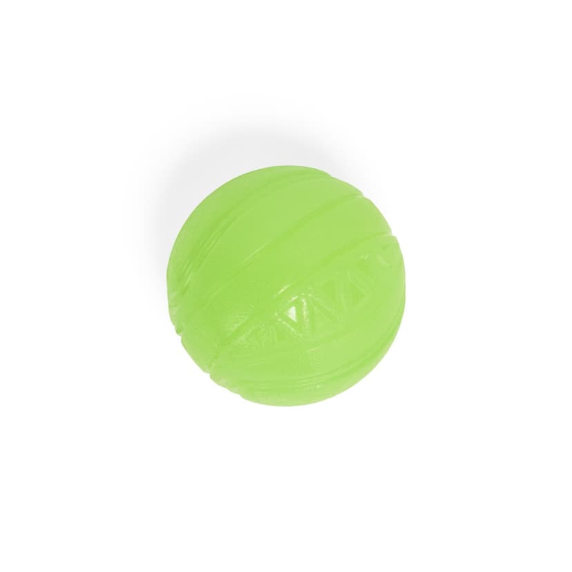 Petco Glow-In-The-Dark TPR Ball with Squeaker, 2-in