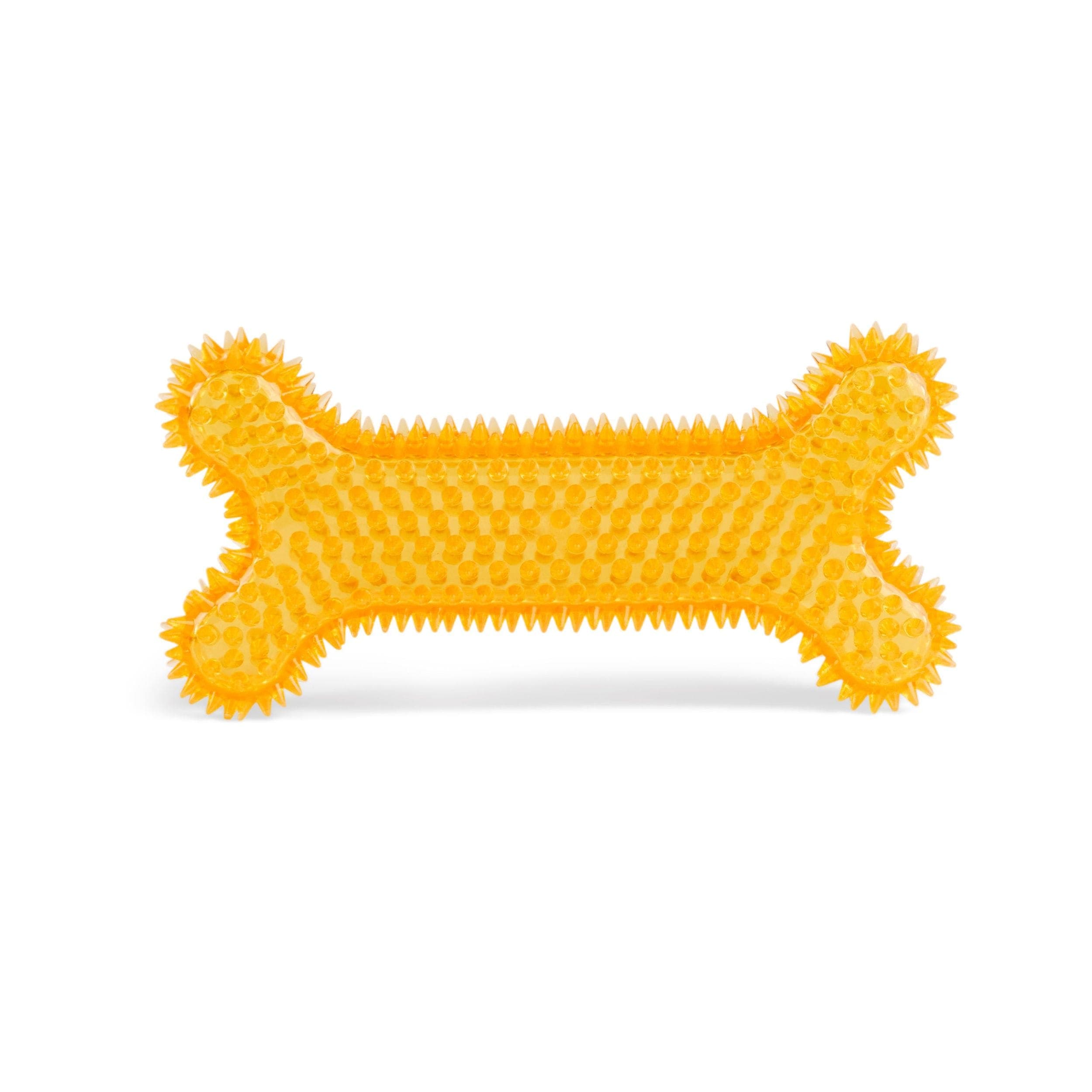 Petco 11-in Large Spiny Bone Dog Chew Toy with Squeaker, Various Styles