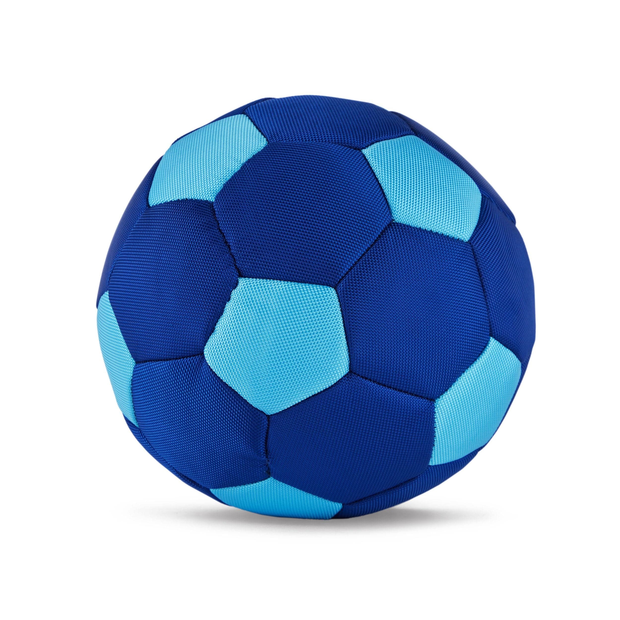 Petco Blue Soccer Ball Dog Toy with Squeaker, 10-in