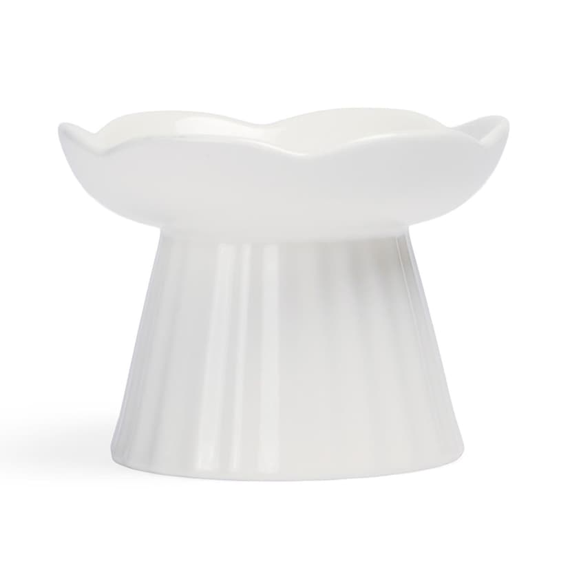 Petco White Ceramic Elevated Floral Cat Bowl, 179-mL