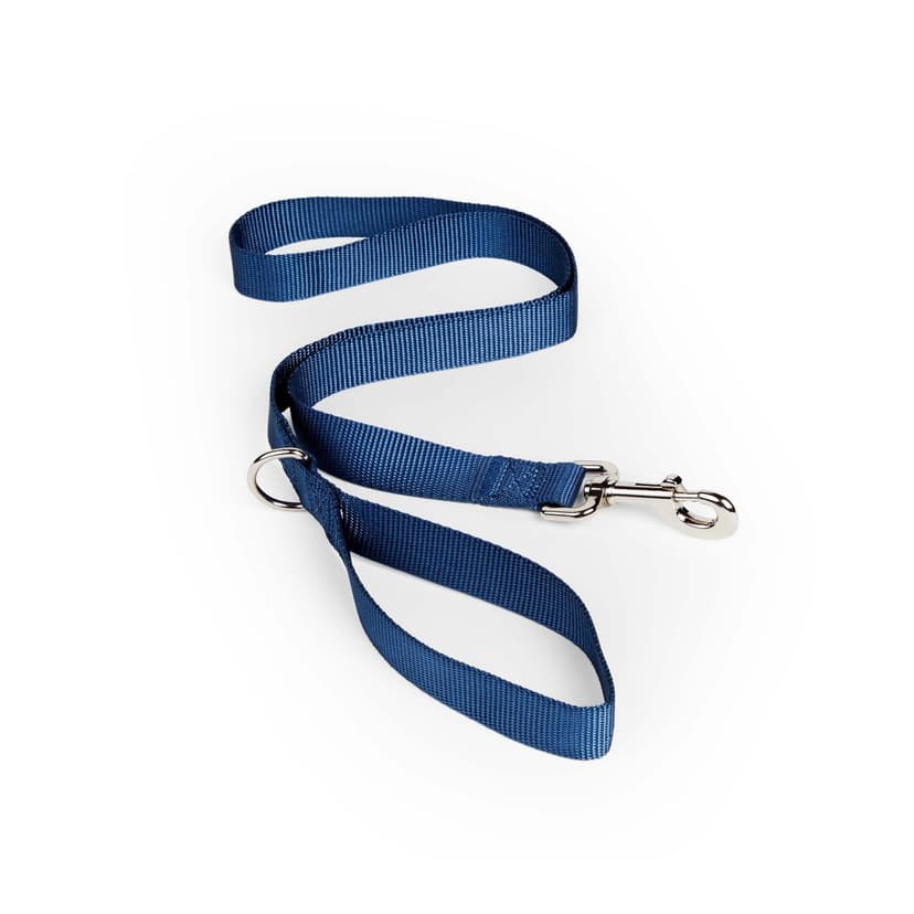 Petco Blue Nylon Dog Leash with Metal Swivel Snap, 4-ft