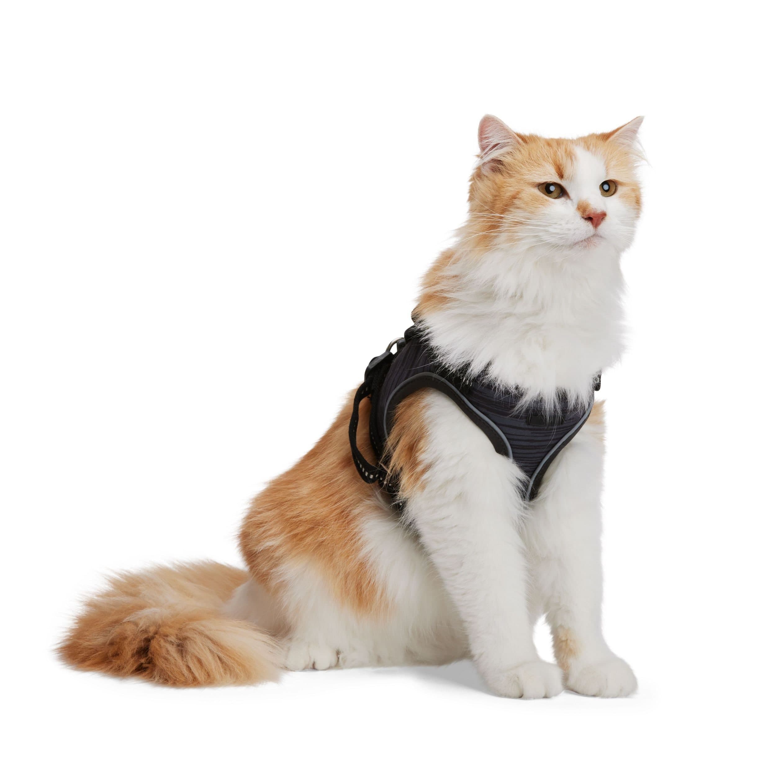 Reddy Grey Cushioned Cat Harness Set, Assorted Sizes
