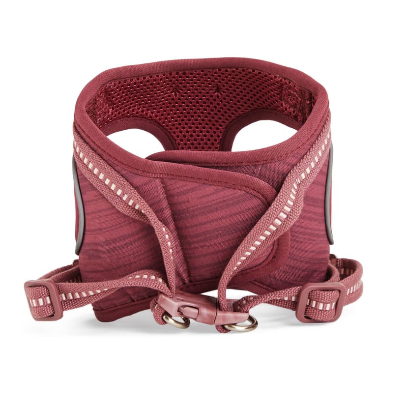 Reddy Rose Cushioned Cat Harness Set, Assorted Sizes