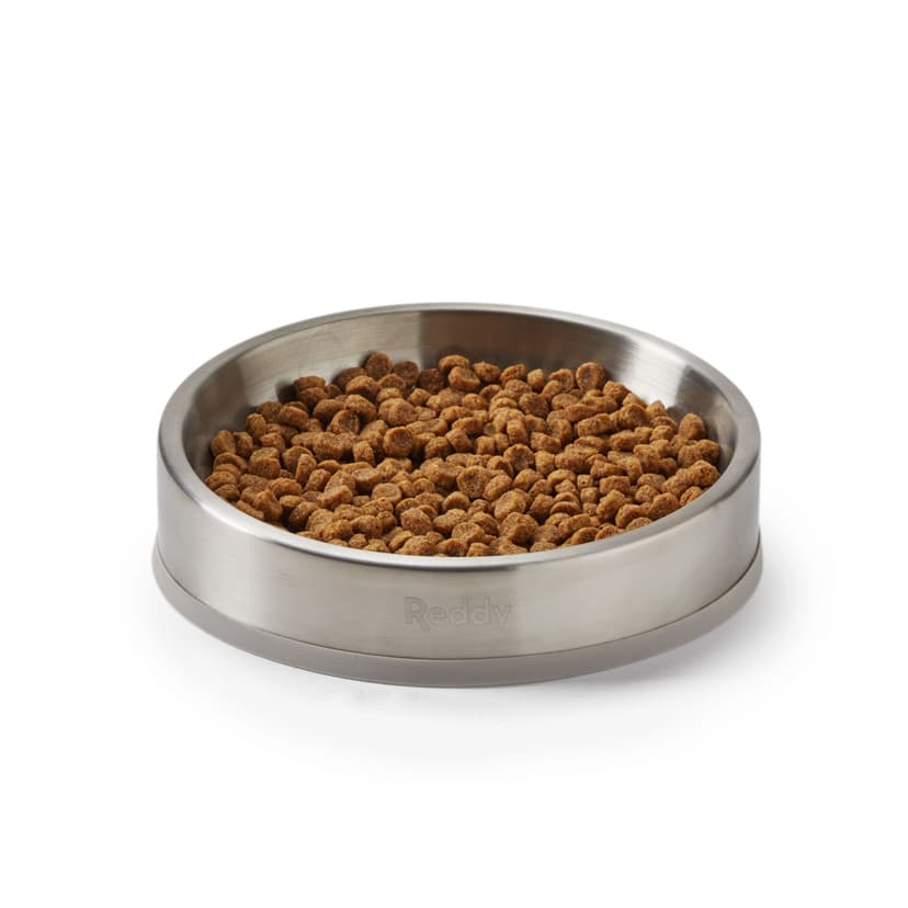 Reddy Dishwasher Safe Shallow Cat Food Bowl, 0.87-Cup
