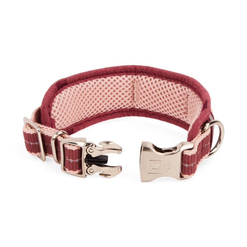 Reddy Burgundy Stripe Dog Collar with Comfort Lining, Assorted Sizes