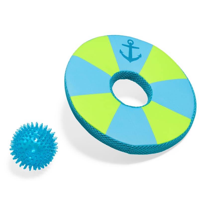 Petco 2-in-1 Flyer Dog Toy