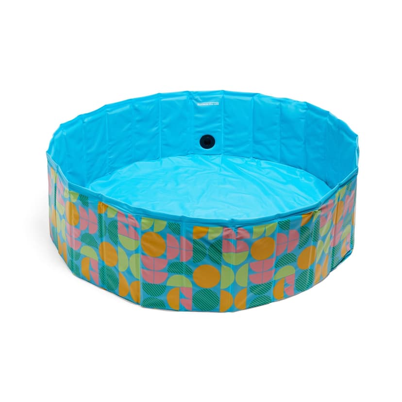 Petco Large Foldable Pet Pool