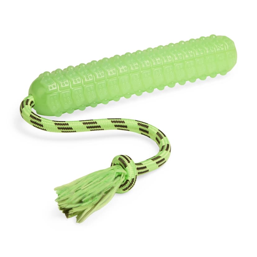Petco Glow Bumper Dog Toy