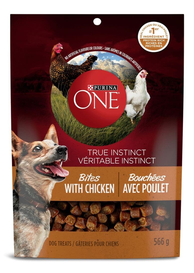Purina ONE True Instinct Bites with Chicken Dog Treats, 567-g