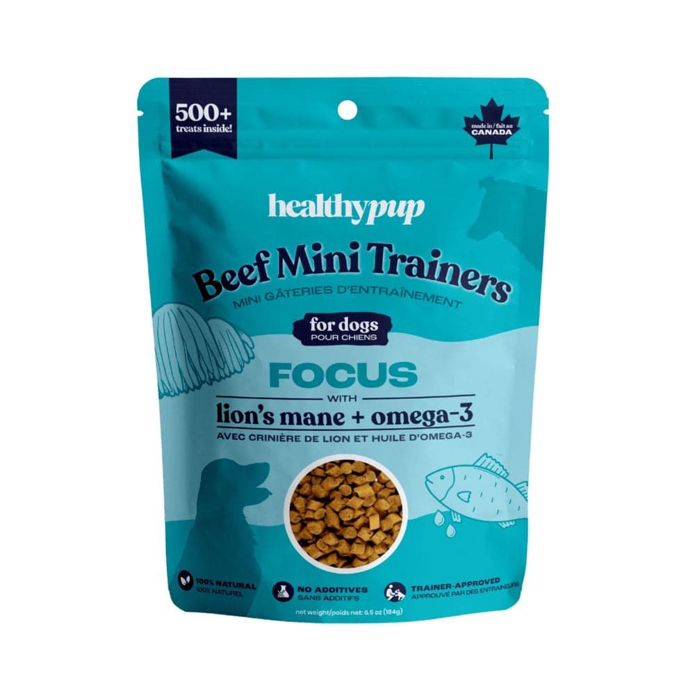 Healthypup Superfood Focus Mini Trainers Dog Treat, 184-g