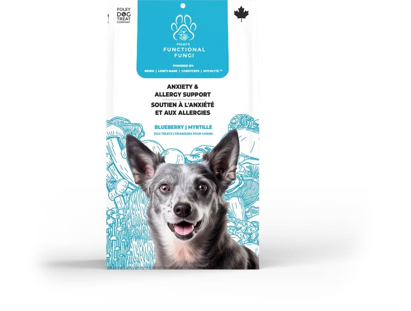 Foley's Anxiety and Allergy Support Dog Supplements, 200-g