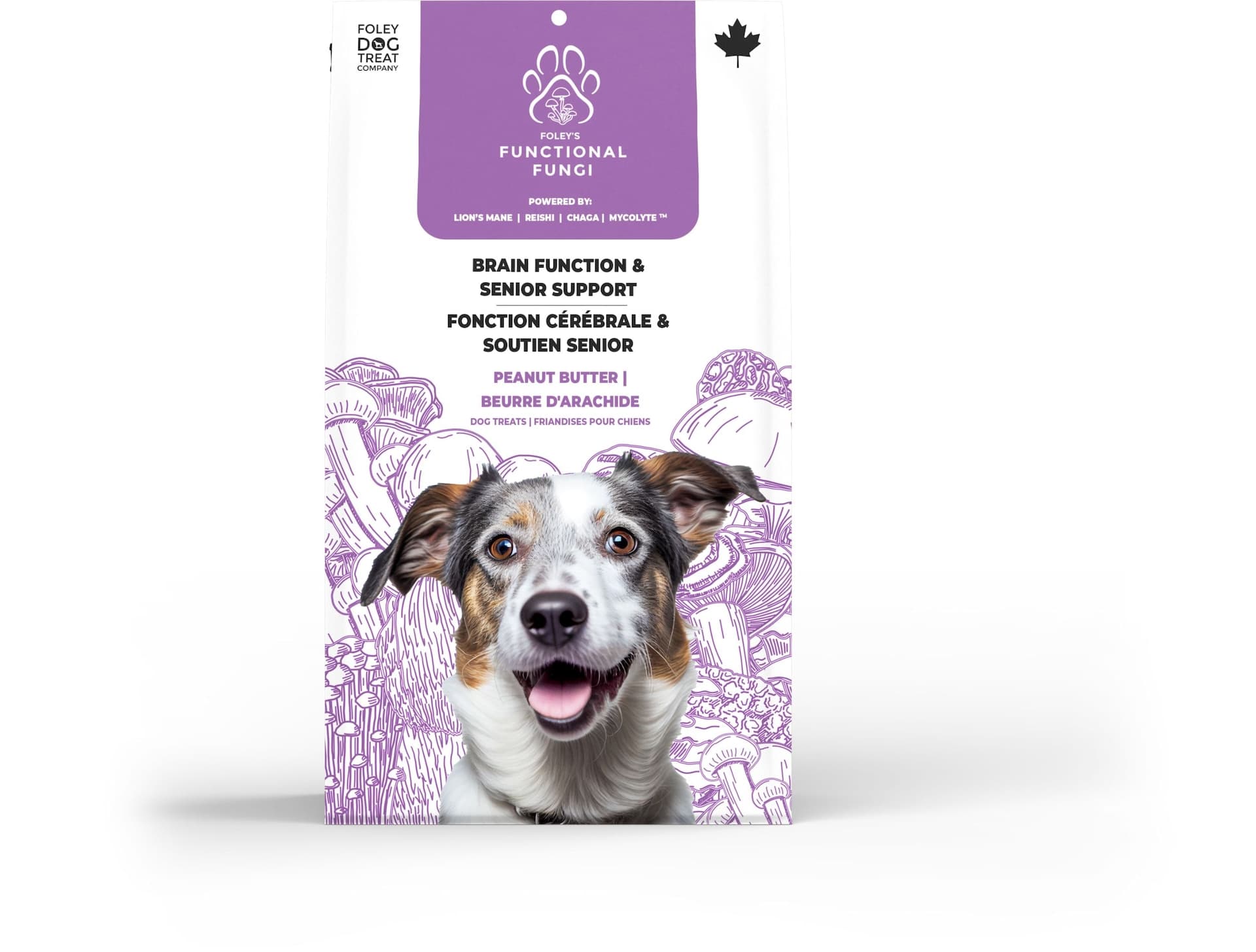 Foleys Brain Function and Senior Support Dog Supplements, 200-g