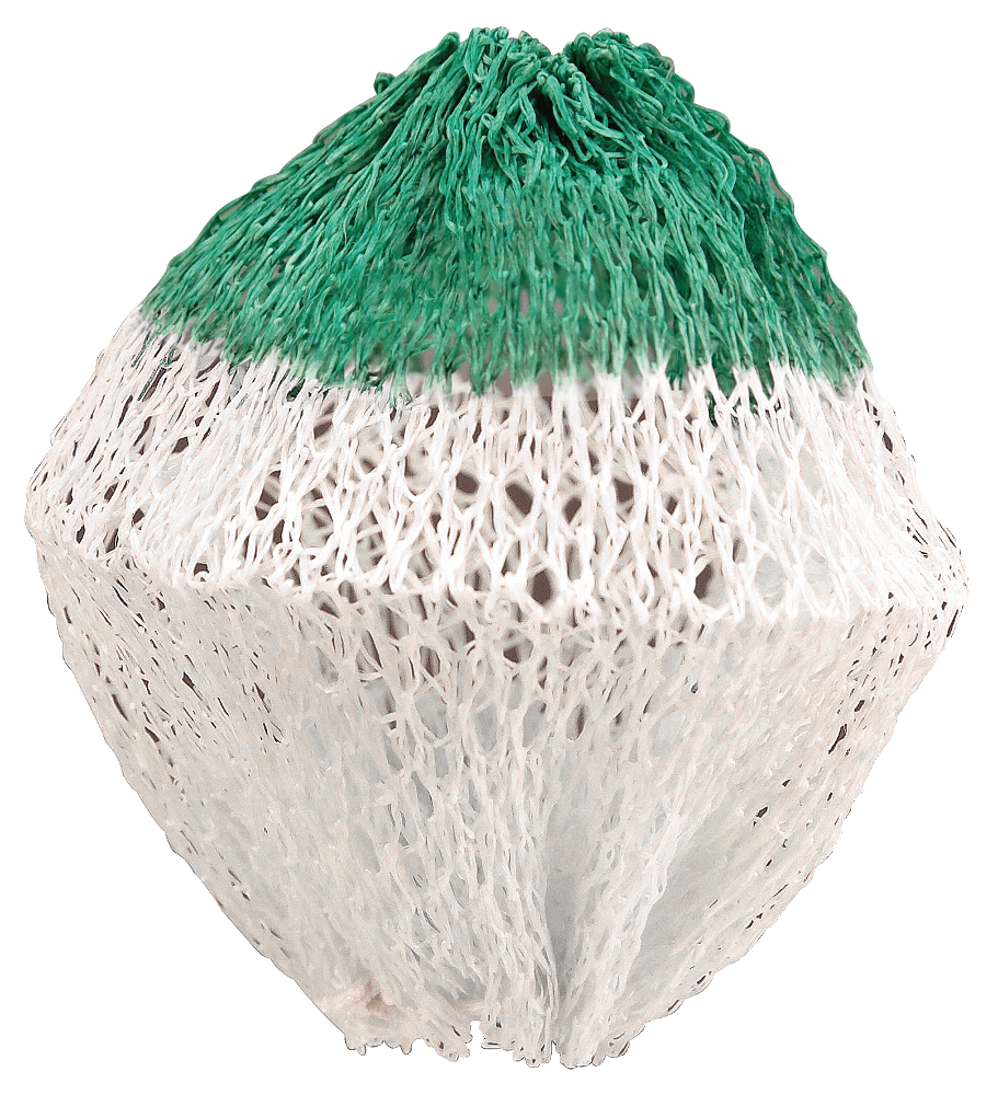Coleman Insta-Clip II #21 Lantern Mantles, 2-pk