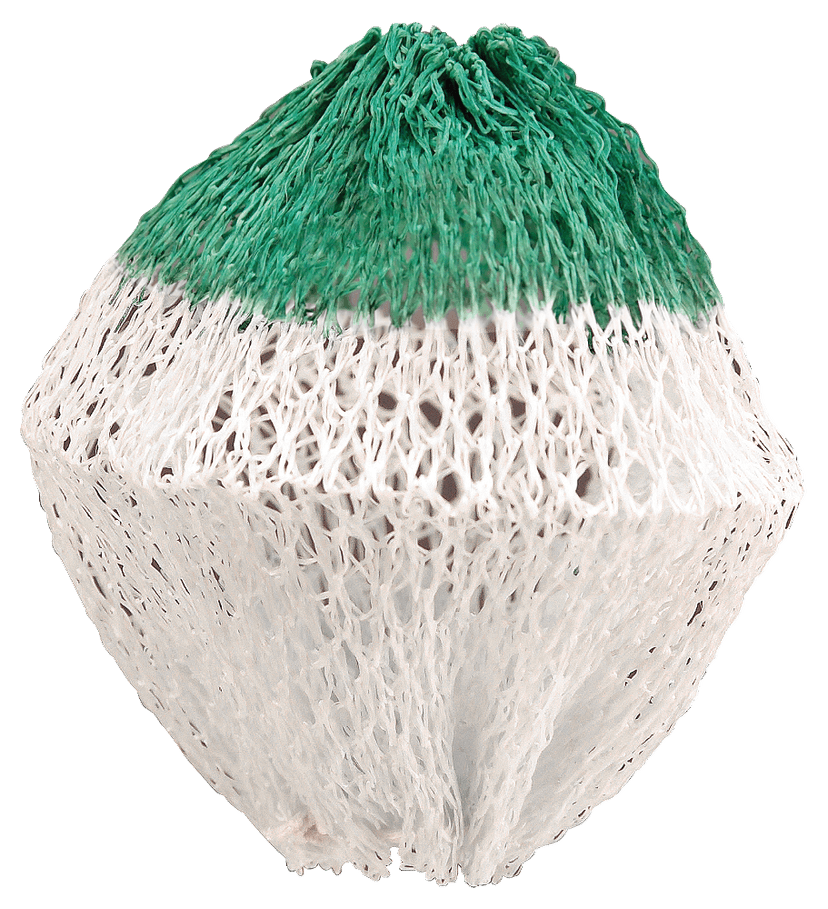 Coleman Insta-Clip II #21 Lantern Mantles, 2-pk