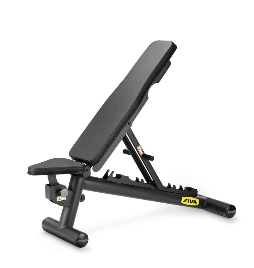 ZIVA F-I-D Adjustable Bench, 53.5-in
