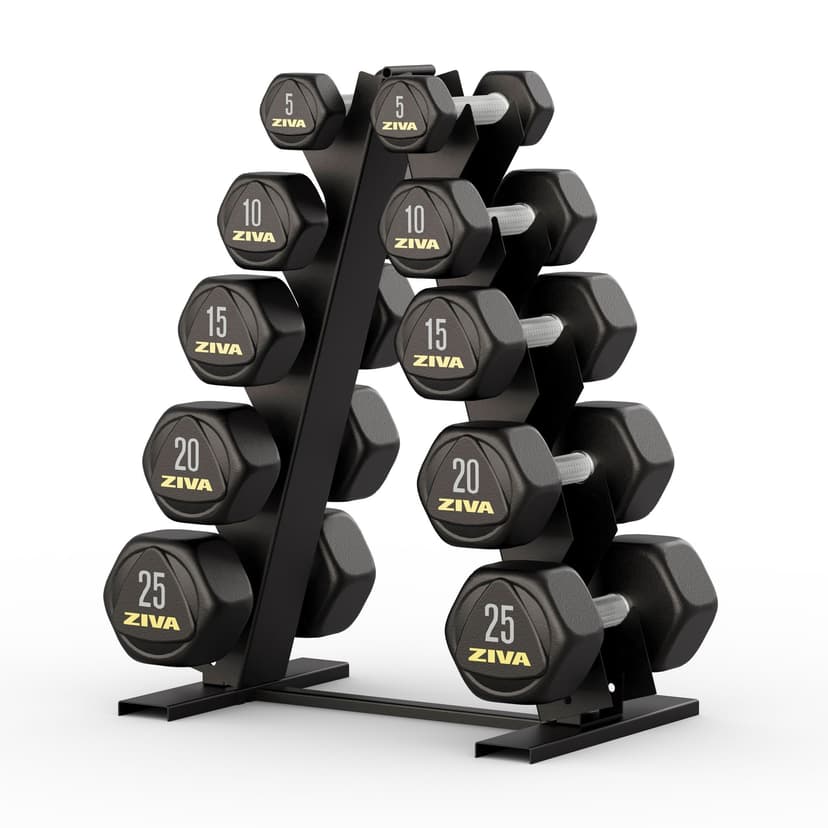 Ziva 5-Pair Dumbbell Set with Rack, 150-lb Total Weight