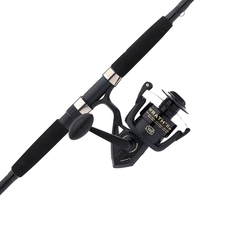 Penn Wrath II Spinning Combo, Medium Heavy, 9-ft