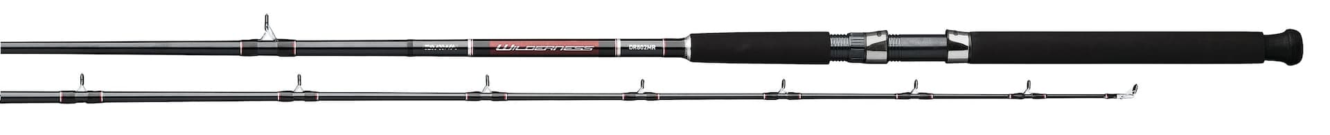 Daiwa Wilderness Trolling Fishing Rod, Medium-Heavy, 8.5-ft, 2-pc