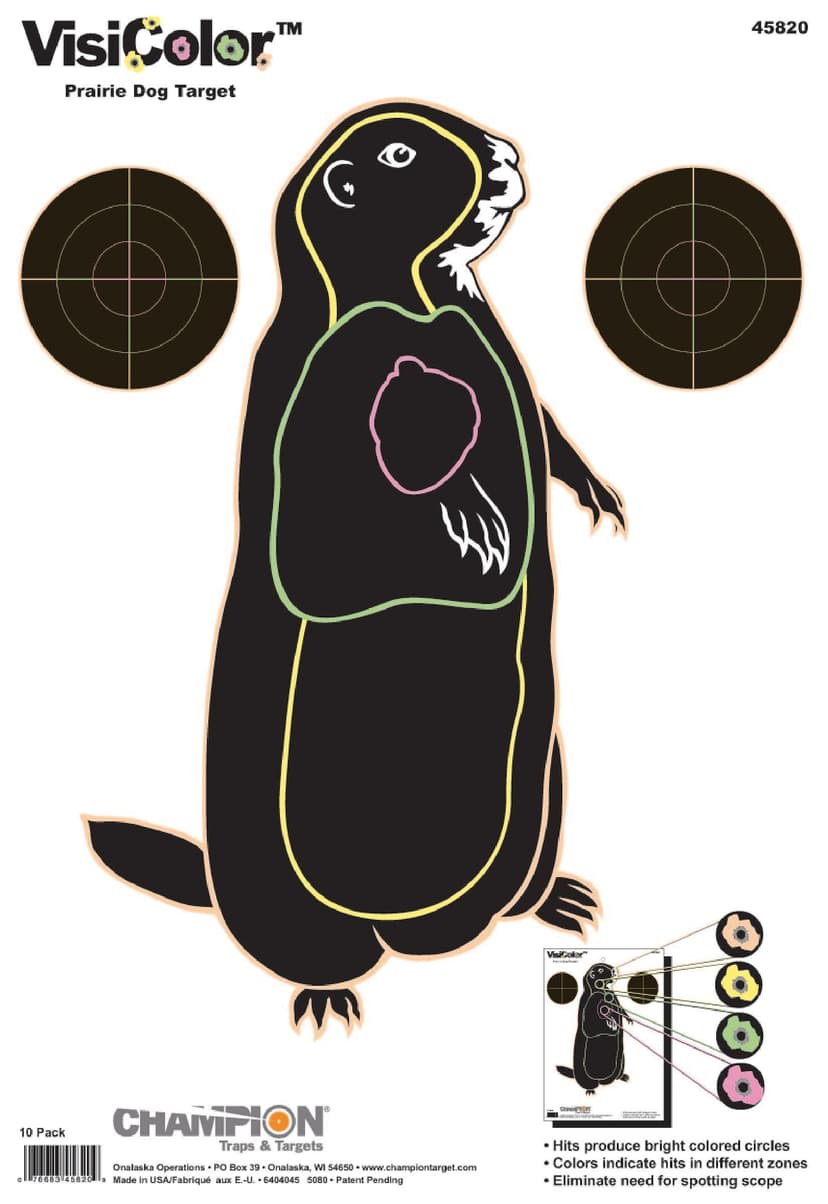 Champion VisiColor Hunting Ground Hog Shooting Targets, 10-pk