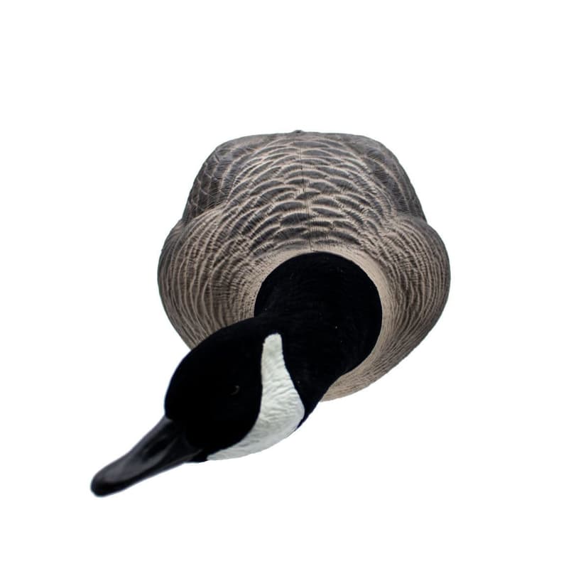 Final Approach LP Lesser Canada Hunting Geese Decoy with 19-in Fiber Stakes