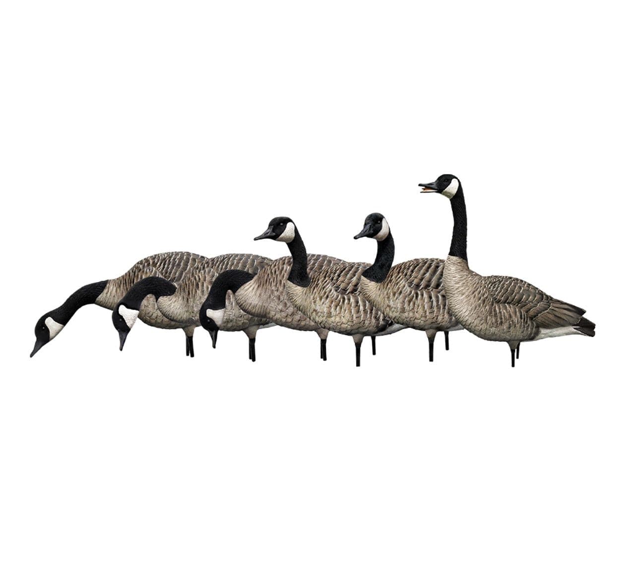 Avian-X Fusion Honker Goose Decoys, 6-pc