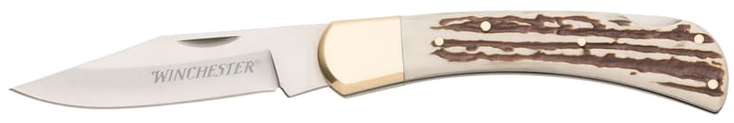 Winchester Stag Bone Lockback Knife, 9-in