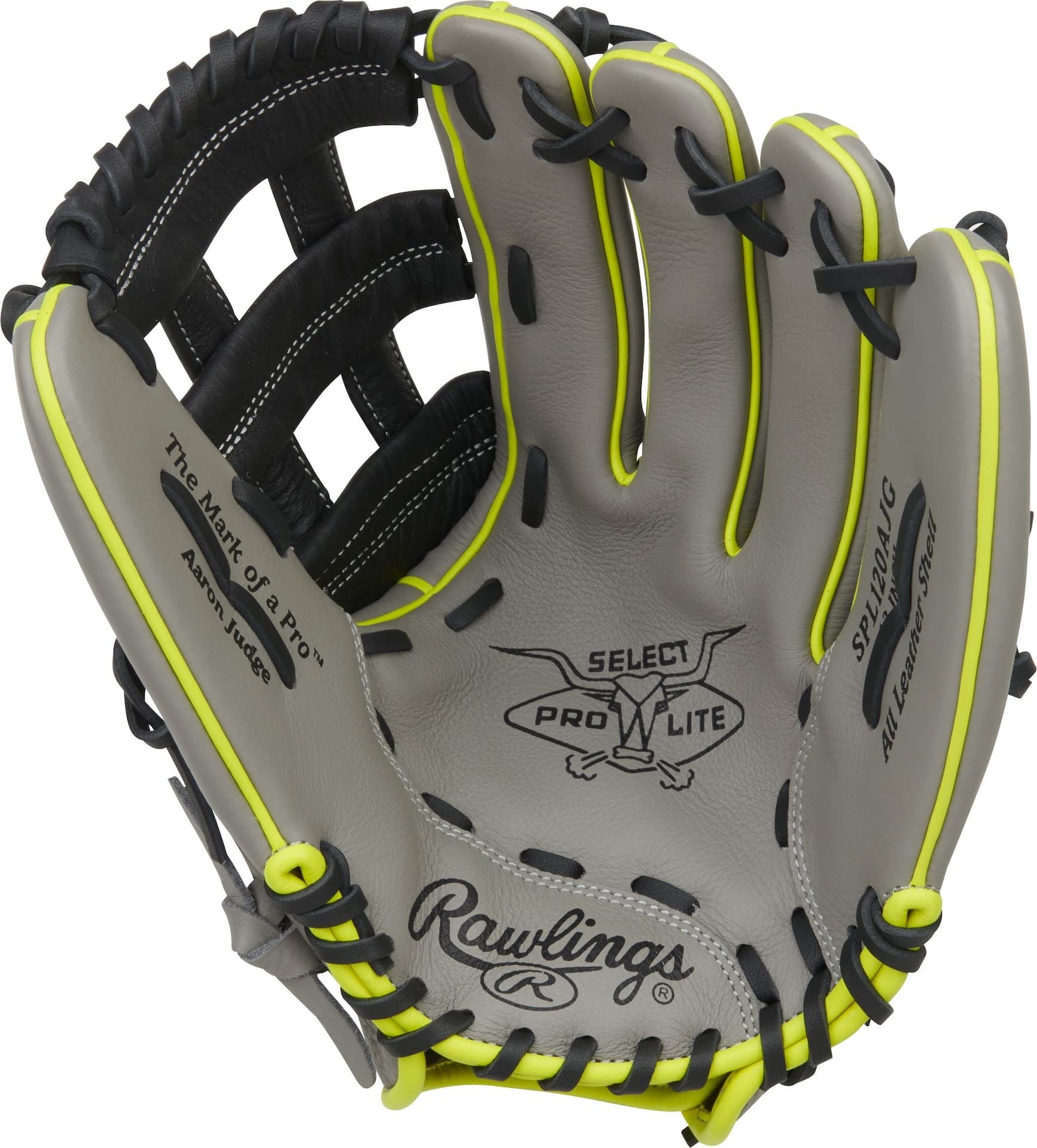 Rawlings Select Pro Lite Aaron Judge Baseball Fielding Glove, Youth, 12-in, Right-Hand Throw, Grey