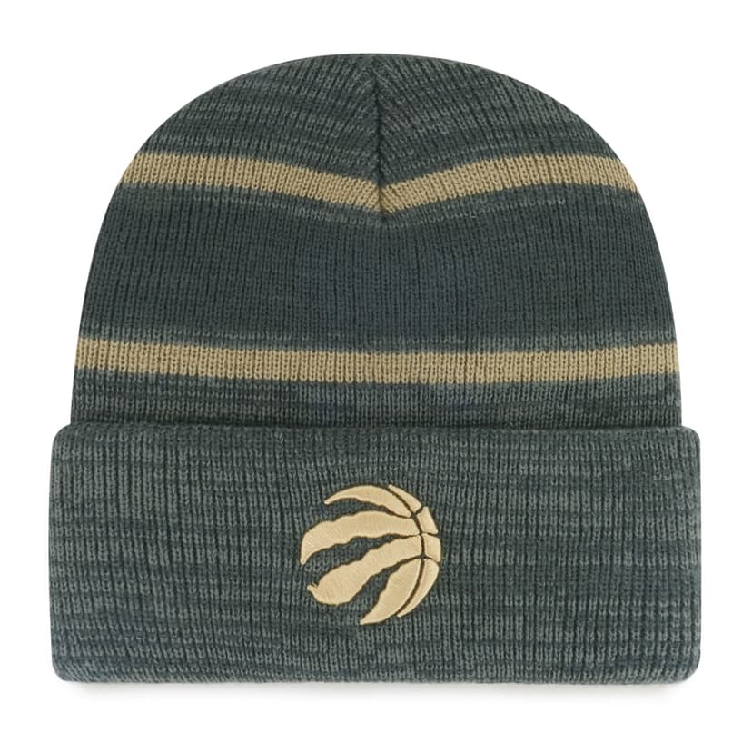Fan Favorite NBA Toronto Raptors Mass Level Knit Toque