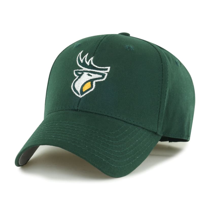 Fan Favorite CFL Edmonton Elks Adult Unisex Mass Basic Baseball Cap, Green
