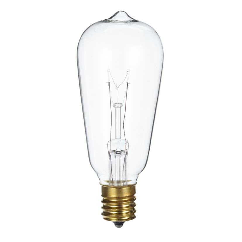 CANVAS Vintage Edison Clear Incandescent Light Bulb Replacement