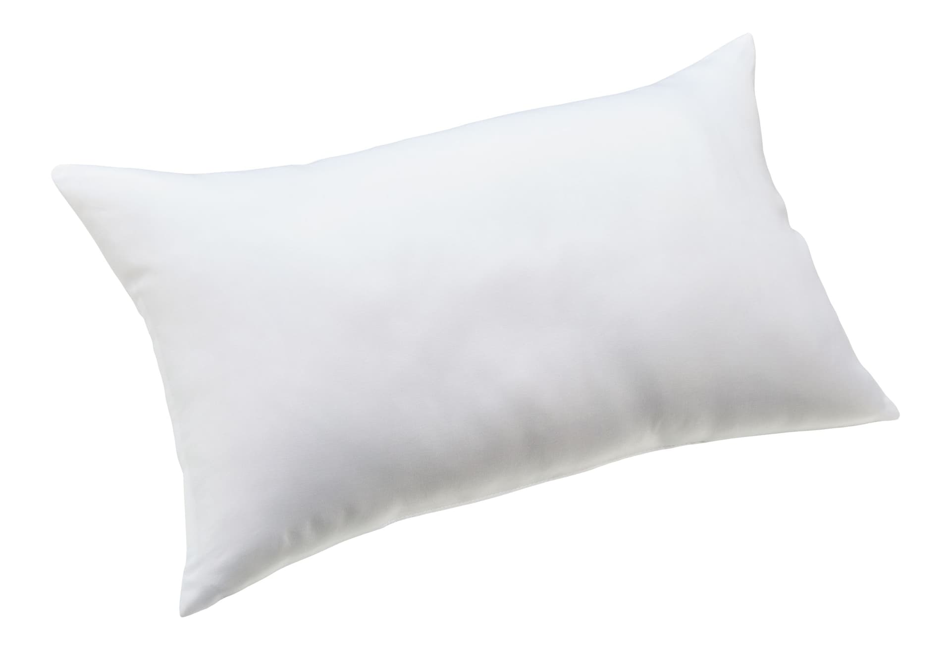 CANVAS Lumbar Indoor/Outdoor Cushion Insert, 12-in x 20-in