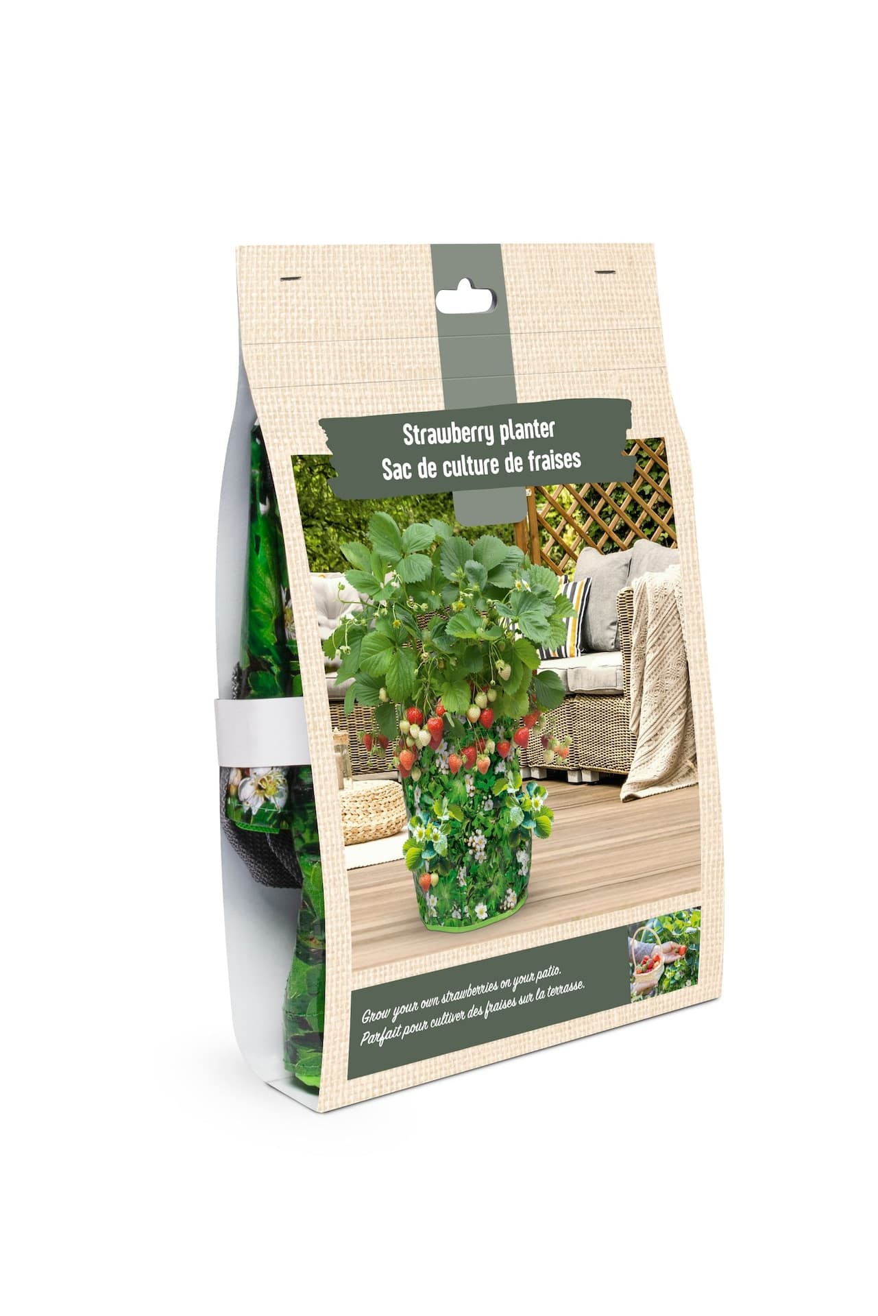 Bulbs Are Easy, Strawberry Bulbs, Ready for your Home Garden