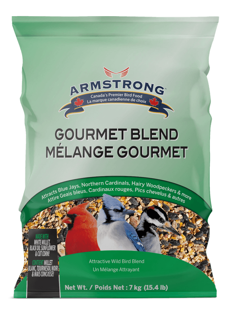 Armstrong Bird Watcher's Gourmet Blend Bird Seed, 7-kg