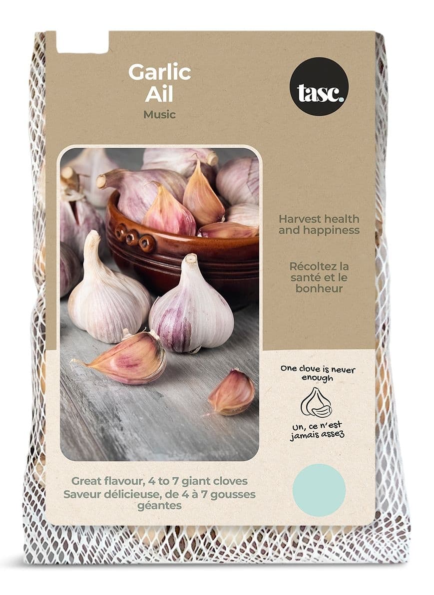 Bulbs Are Easy, Music Fall Garlic Bulbs, Ready to Plant for your Home Garden