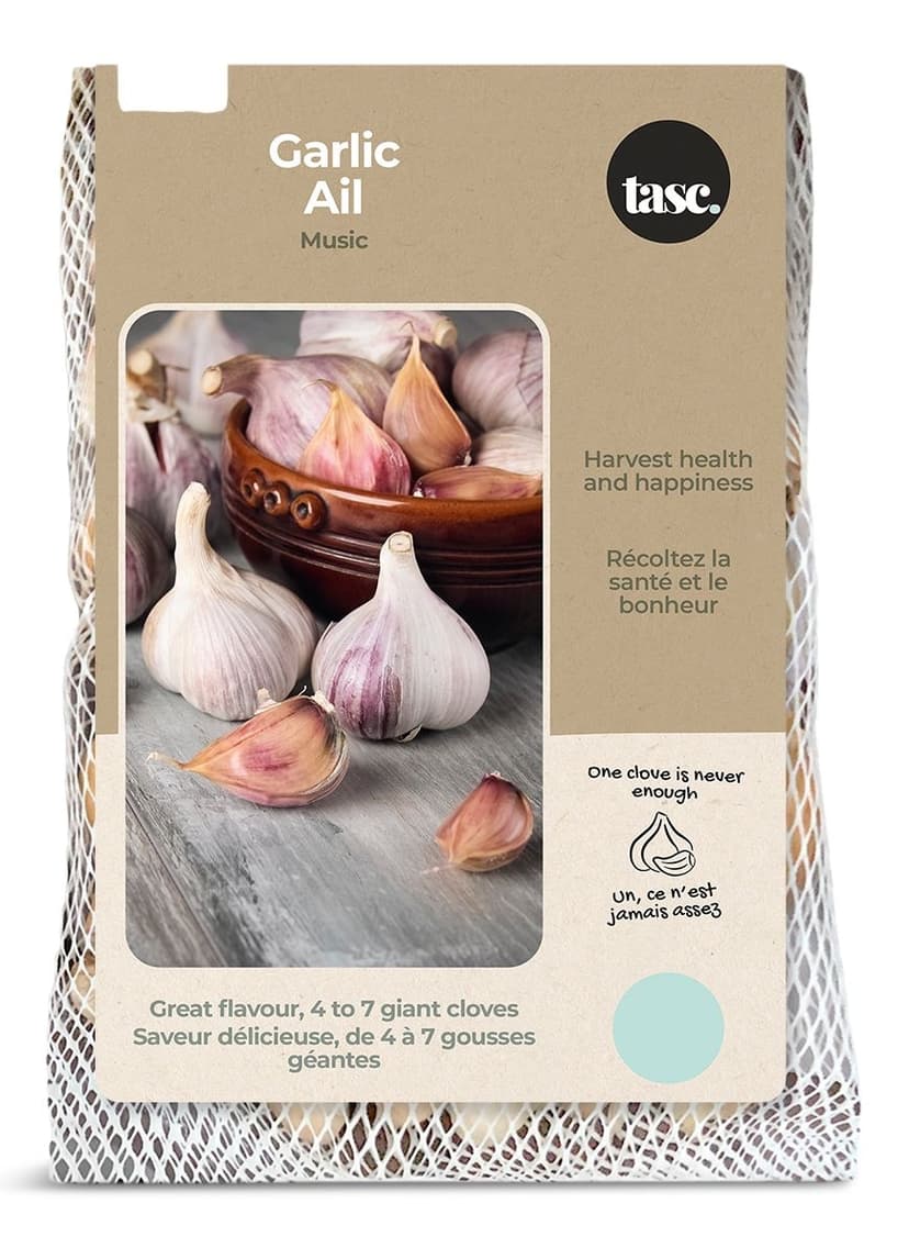 Bulbs Are Easy, Music Fall Garlic Bulbs, Ready to Plant for your Home Garden