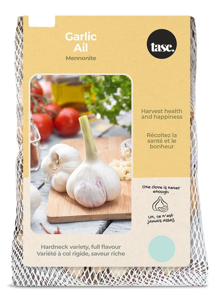 Bulbs Are Easy, Mennonite Fall Garlic Bulbs, Ready to Plant for your Home Garden