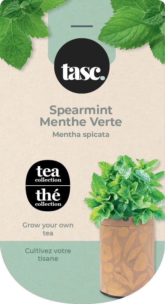 Seeds Are Easy, Mint Tea Kit, Comes with Jute Planter, Potting Soil, Seeds