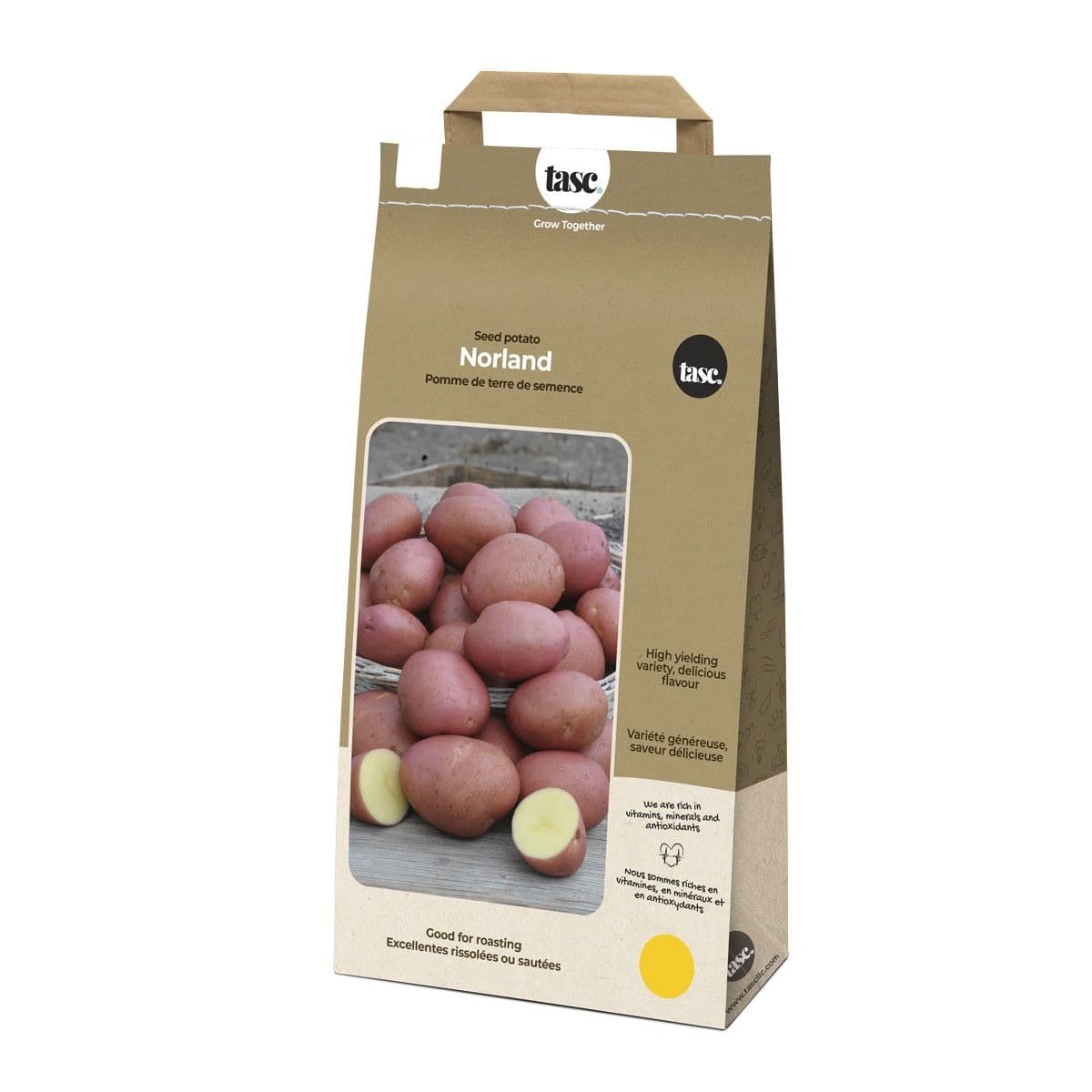Bulbs Are Easy, Norland Seed Potato, Ready to Plant for your Home Garden