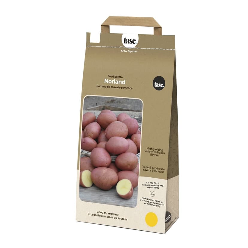 Bulbs Are Easy, Norland Seed Potato, Ready to Plant for your Home Garden