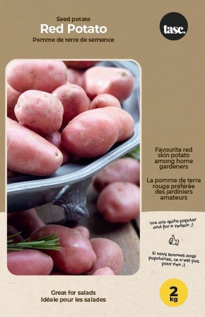 Bulbs Are Easy, Red Potato, Ready to Plant for your Home Garden