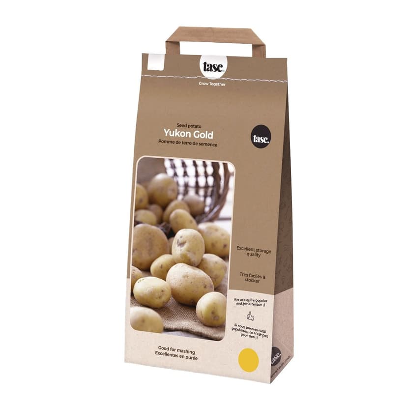 Bulbs Are Easy, Yukon Gold Seed Potato, Ready to Plant for your Home Garden