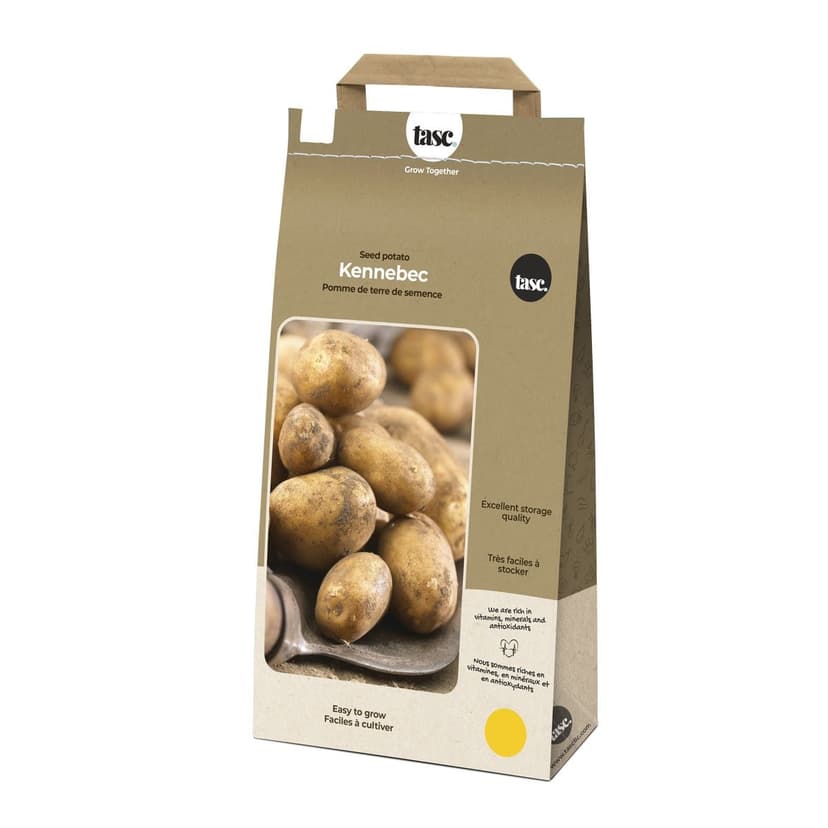 Bulbs Are Easy, Kennebec Seed Potato, Ready to Plant for your Home Garden