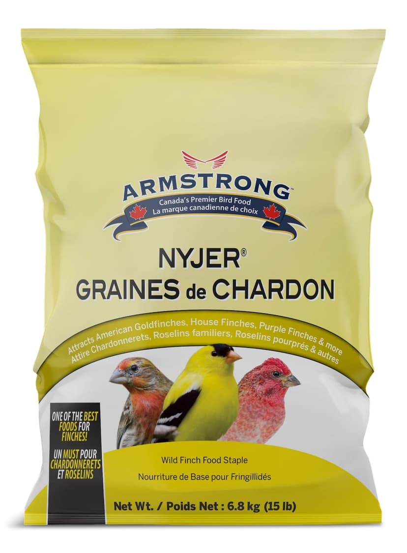 Armstrong Nyjer Seed for Birds, 6.8-kg