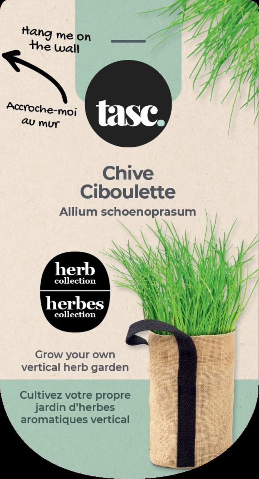 Seeds Are Easy Herb Kit, Chives