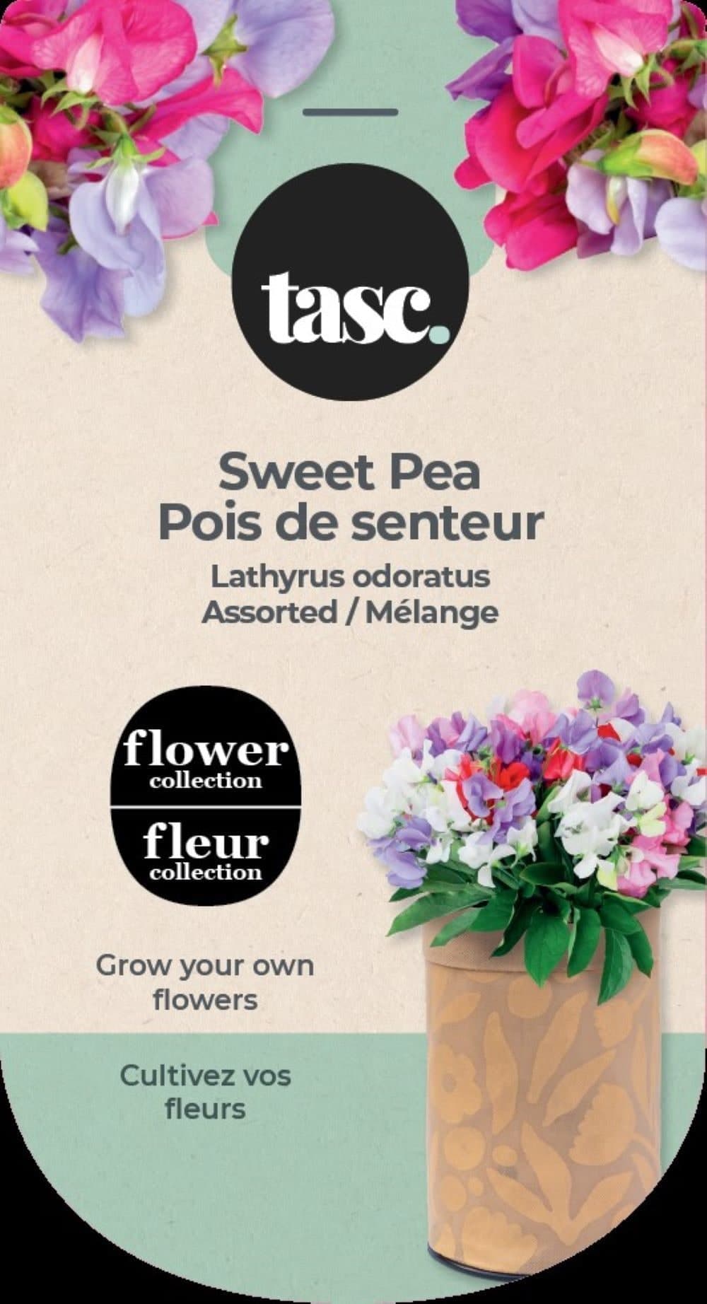 Seeds Are Easy Vegetable Kit, Sweet Peas