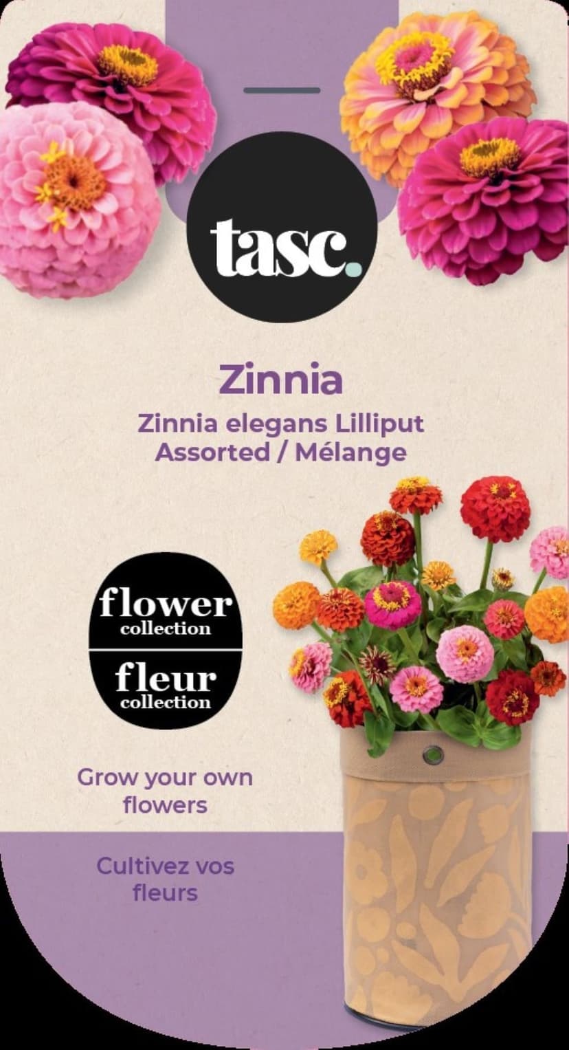 Seeds Are Easy, Zinnia Flower Kit, Comes with Jute Planter, Potting Soil, Seeds